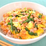 三色丼・そぼろ丼
